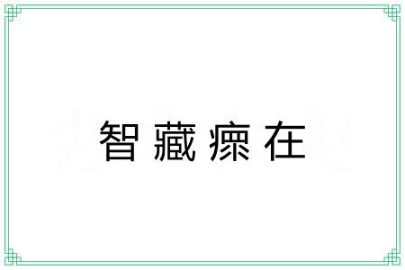智藏瘝在