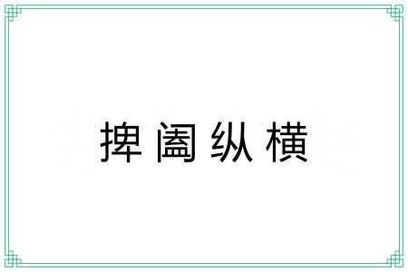捭阖纵横