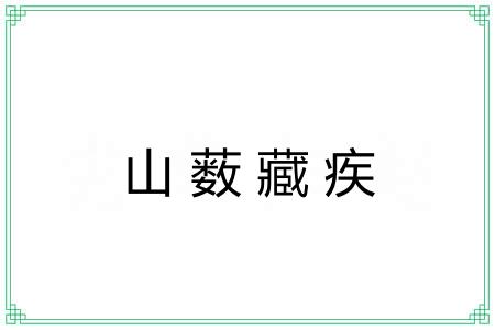 山薮藏疾