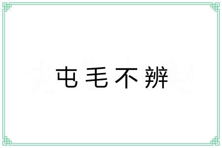 屯毛不辨