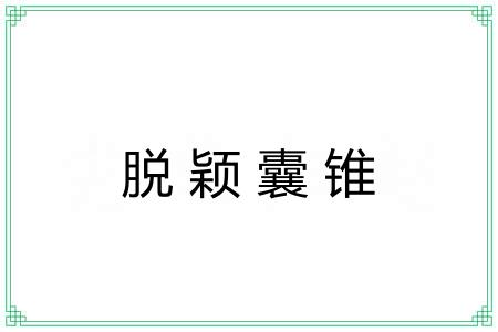 脱颖囊锥