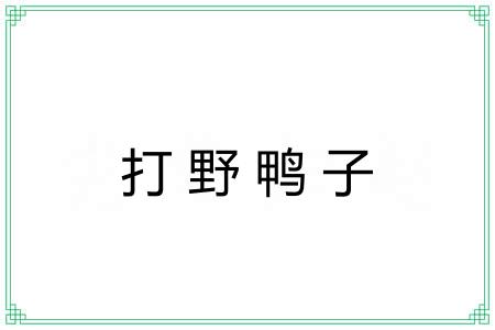 打野鸭子