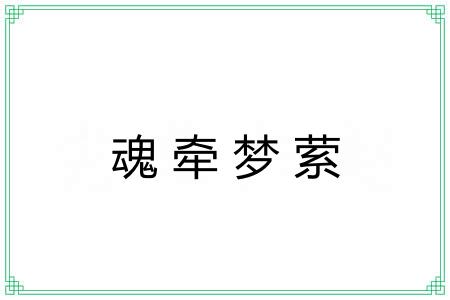 魂牵梦萦 魂牵梦萦