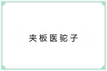 夹板医驼子