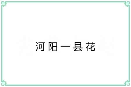河阳一县花